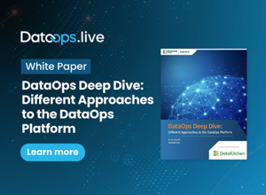 DataOps Deep Dive Different Approaches to the DataOps Platform