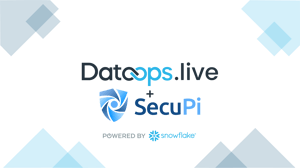 DataOps.live SecuPi-3
